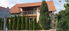 Kuca Žunic